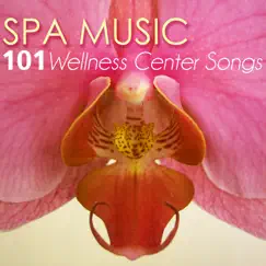 Serenity Spa Music Relaxation (Unforeseen Adventures) Song Lyrics