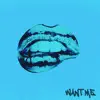 Want Me - Single album lyrics, reviews, download