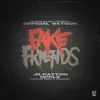 Fake Friends (feat. JR Patton) [Radio Edit] [Radio Edit] - Single album lyrics, reviews, download