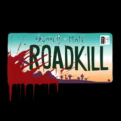 Roadkill - Single by Summer of Man album reviews, ratings, credits