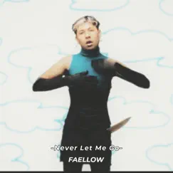 Never Let Me Go - Single by Faellow album reviews, ratings, credits