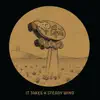 It Takes a Steady Wind album lyrics, reviews, download