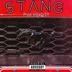 Stang - Single by Itzjboii album reviews, ratings, credits