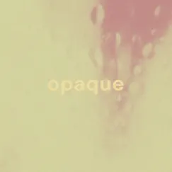 Opaque Song Lyrics