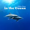 Dolphins Singing in the Ocean: Relaxation & Sleep Mood Music album lyrics, reviews, download