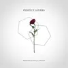 Perfect Lovers (feat. Marcus Järvinen) - Single album lyrics, reviews, download