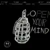 Open Your Mind - Single album lyrics, reviews, download
