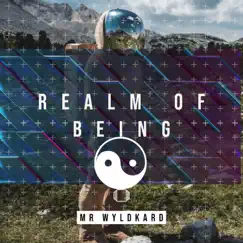 Realm of Being - EP by Mr. Wyldkard album reviews, ratings, credits