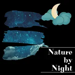 Nature by Night by Night Sounds Channel, Night Nature Sounds & Frog Sounds Channel album reviews, ratings, credits