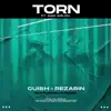 Torn (feat. Sam Welch) [Nocturnalle Remix] - Single album lyrics, reviews, download