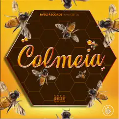 Colmeia - EP by BVDZRECORDS album reviews, ratings, credits