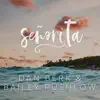 Señorita (Acoustic) song lyrics