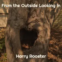 From the Outside Looking In - Single by Harry Rooster album reviews, ratings, credits
