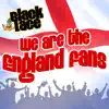 We Are the England Fans (feat. DJ Neil Philips) - Single album lyrics, reviews, download