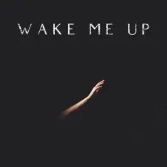 Wake Me Up (feat. Joshua Bramlett of the Protest) Song Lyrics