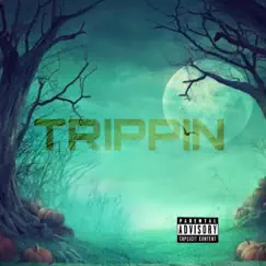Trippin - Single by Skyrey album reviews, ratings, credits