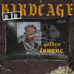 Birdcage Song Lyrics
