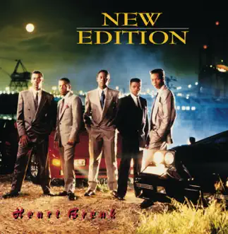 Download Can You Stand the Rain New Edition MP3