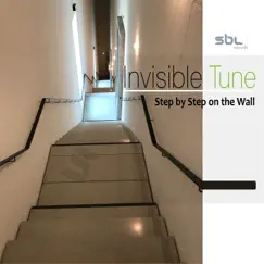 Step by Step on the Wall - Single by Invisible Tune album reviews, ratings, credits