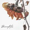 Benefits (feat. Eric Pedigo) - Single album lyrics, reviews, download