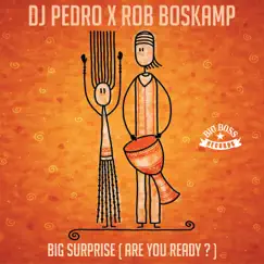 Big Surprise (Are You Ready?) - Single by DJ Pedro & Rob Boskamp album reviews, ratings, credits