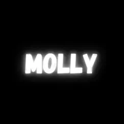 Molly - Single by 5Eleven Entertainment album reviews, ratings, credits