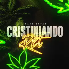 Cristiniando Rkt (Remix) - Single by Dani Cejas album reviews, ratings, credits