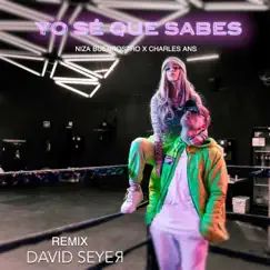 Yo Sé Que Sabes (Remix) - Single by Niza Buenrostro, Charles Ans & David Seyer album reviews, ratings, credits