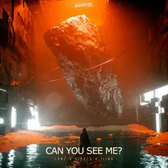 Can You See Me? Song Lyrics