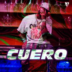 Cuero - Single by Ceky Viciny & Bassbreaker album reviews, ratings, credits