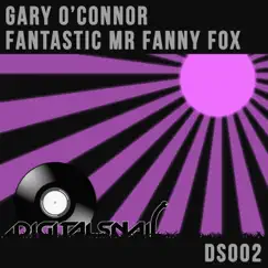 Fantastic Mr Fanny Fox (Radio Edit) Song Lyrics