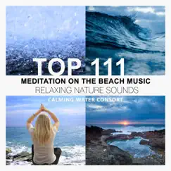 Top 111 Meditation on the Beach Music: Relaxing Nature Sounds, Ocean Waves, Rain Sounds, Calming Healing White Noise by Calming Water Consort album reviews, ratings, credits