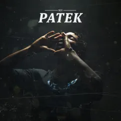 Patek - Single by SLV album reviews, ratings, credits