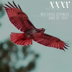 Bird of Prey - EP by Matthias Springer album reviews, ratings, credits