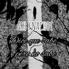 Arh & Nachot, Dice que sabe, pero no sabe - Single by Arhritmos album reviews, ratings, credits