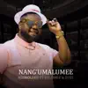 Nangu Malumee (feat. Malumee) - Single album lyrics, reviews, download