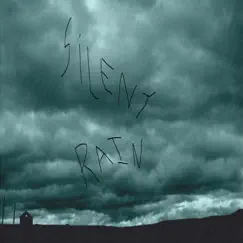 Silent Rain by Paul Herzig album reviews, ratings, credits