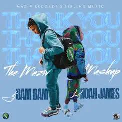 Thank You Mix (Maziv Mashup) (feat. DJ Bam Bam) - Single by Lil Noah James album reviews, ratings, credits