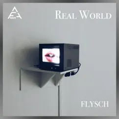 Real World (Radio Edit) [Radio Edit] - Single by Flysch album reviews, ratings, credits