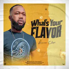 What's Your Flavor Song Lyrics