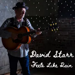 Feels Like Rain - Single by David Starr album reviews, ratings, credits