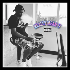 Really Mean it - Single by Eli Mcfly album reviews, ratings, credits