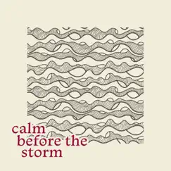Calm Before the Storm - Single by United Pursuit album reviews, ratings, credits