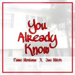 You Already Know (feat. Jae Mitch) Song Lyrics