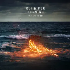 Burning (feat. Camden Cox) Song Lyrics