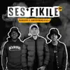 Ses'fikile (feat. Mellow & Sleazy) song lyrics