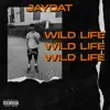 Wild Life - Single album lyrics, reviews, download