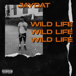 Wild Life - Single by JayDat album reviews, ratings, credits