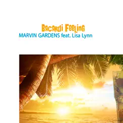 Bacardi Feeling (Summer Dreamin') [feat. Lisa Lynn] [Dance Version] Song Lyrics