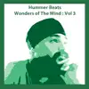Wonders of the Mind: Vol. 3 album lyrics, reviews, download